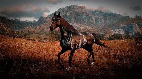 So, in a short sprint race between a maxed out Arabian vs a maxed out MFT, the Arabian might win, but over a longer distance the MFT should come first. . Rdr2 warped brindle arabian